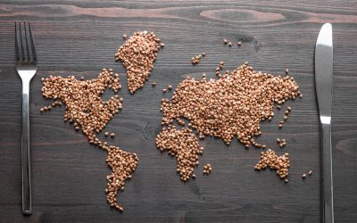 Photo of grain on a dining table in the shape of the continents to illustrate the article 